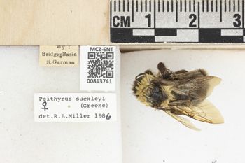 Media type: image;   Entomology 813741 Aspect: labels